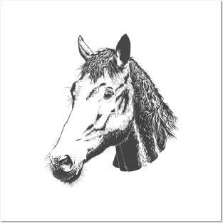 Horse Lovers Posters and Art